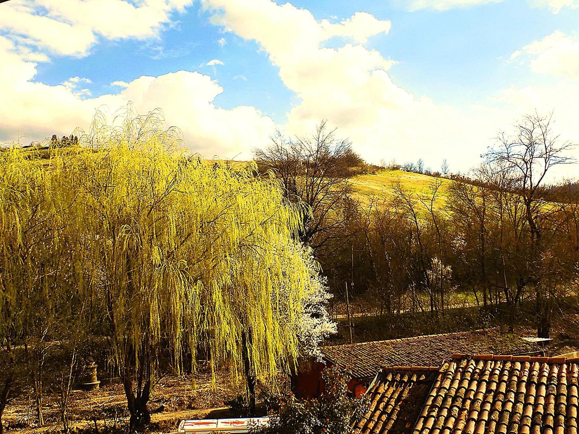 Botteghino di Zocca Relais Ca Del Rio 빌라 외부 사진